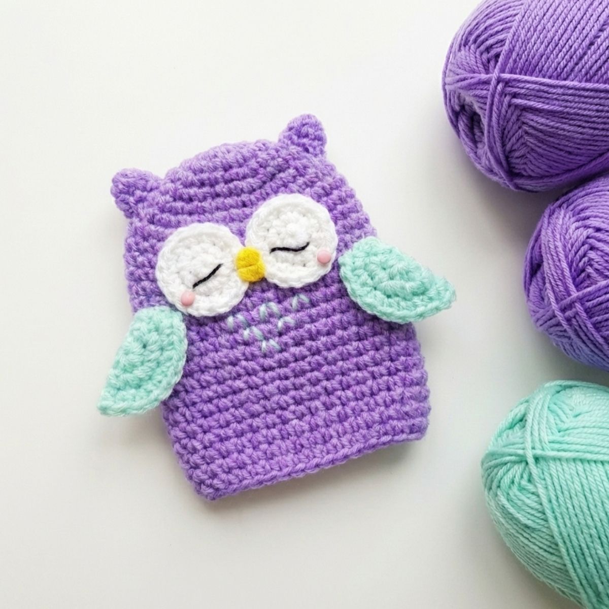 Owl Amigurumi: Mr. Murasaki Crochet Pattern